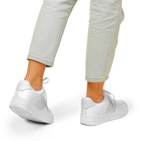 Elevaysion Low Tops