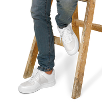 Elevaysion Low Tops